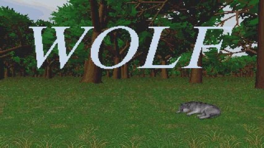 game wolf - Game wolf là gì? Trải nghiệm tổng quan game wolf - Game wolf là gì? Trải nghiệm tổng quan