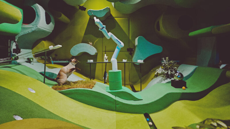 Cat Room Blast - Mỗi màn chơi đều buộc bạn quan sát kỹ hơn Cat Room Blast - Mỗi màn chơi đều buộc bạn quan sát kỹ hơn