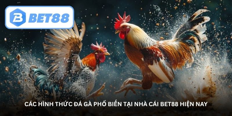 Các hình thức đá gà phổ biến tại nhà cái Bet88 hiện nay