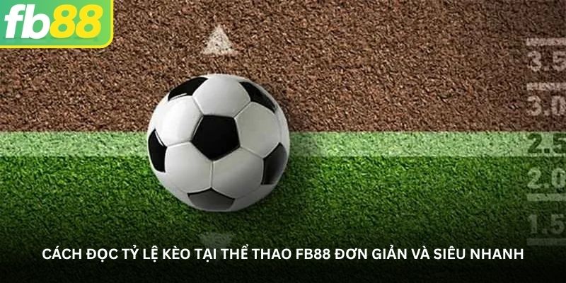 Cách đọc tỷ lệ kèo tại Thể thao FB88 đơn giản và siêu nhanh