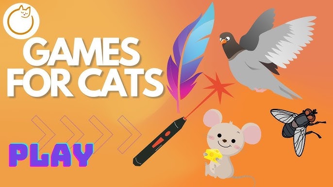 Cats Playing Tag - Càng chơi càng thấy rõ tính cạnh tranh Cats Playing Tag - Càng chơi càng thấy rõ tính cạnh tranh