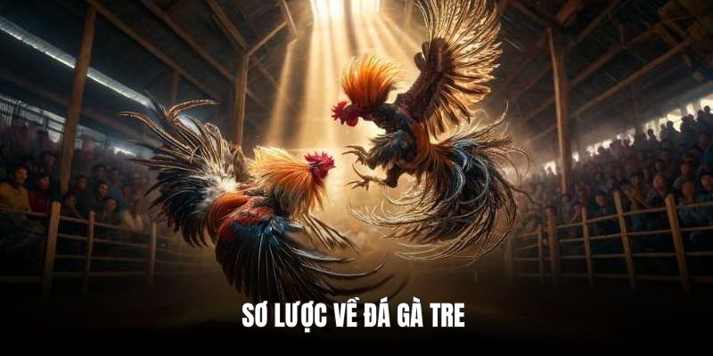 Đá Gà Tre Và Khám Phá 4 Lý Do Nên Chọn RIKBET Để Giải Trí