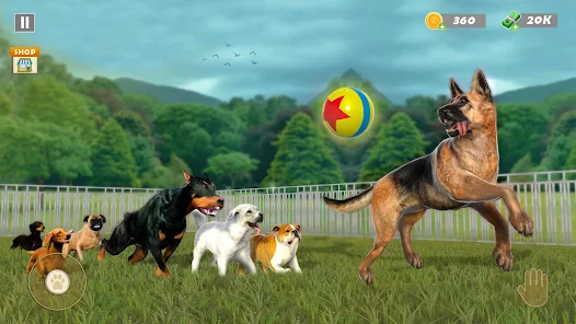 Dog Rescue - Những vật dụng nhỏ nhưng rất cần thiết Dog Rescue - Những vật dụng nhỏ nhưng rất cần thiết