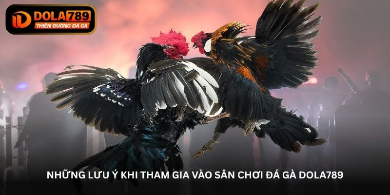 Những lưu ý khi tham gia vào sân chơi đá gà Dola789
