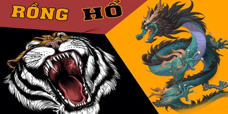 Bật mí 5 cách soi cầu rồng hổ bất bại từ các Pro Player