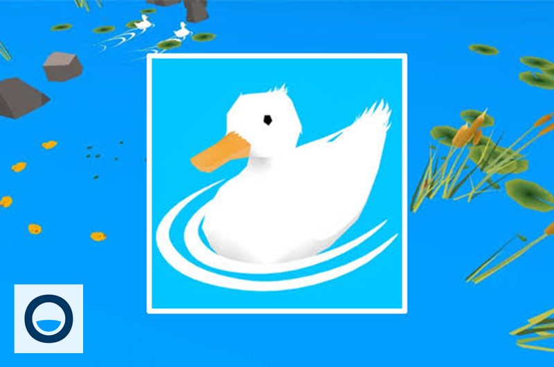 Ducklings IO - Khi nào nên quay về tổ? Ducklings IO - Khi nào nên quay về tổ?