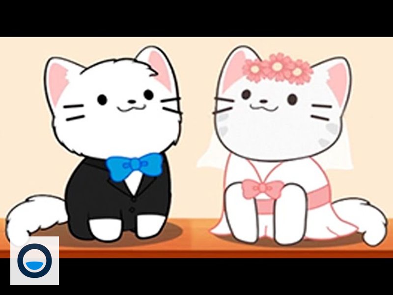 Duet Cats - Màn chơi mở khóa theo tiến trình Duet Cats - Màn chơi mở khóa theo tiến trình