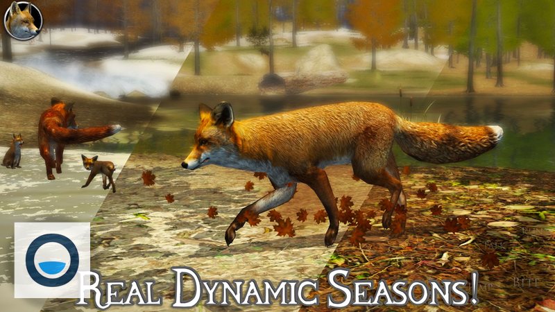 Fox Simulator - Trải nghiệm mô phỏng nhẹ nhàng, dễ nhập cuộc Fox Simulator - Trải nghiệm mô phỏng nhẹ nhàng, dễ nhập cuộc