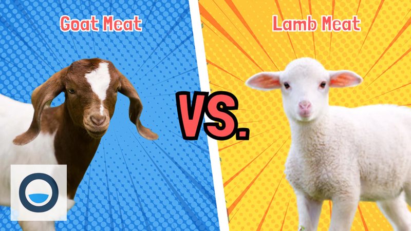 Goat vs - Nhịp độ vui nhộn nhờ yếu tố vật lý Goat vs - Nhịp độ vui nhộn nhờ yếu tố vật lý