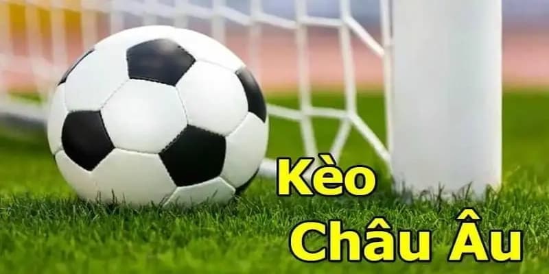 Các cửa cược trong kèo châu Âu để anh em dễ đọc tỷ lệ