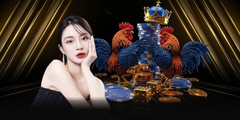 Đá gà 23WIN - Top các loại hình đá gà phổ biến nhất hiện nay