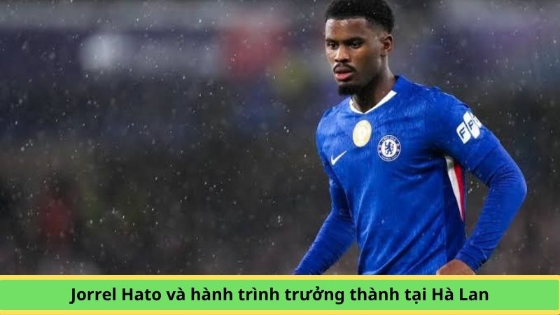 Jorrel Hato - Hậu vệ đa năng và tương lai hàng thủ của Chelsea